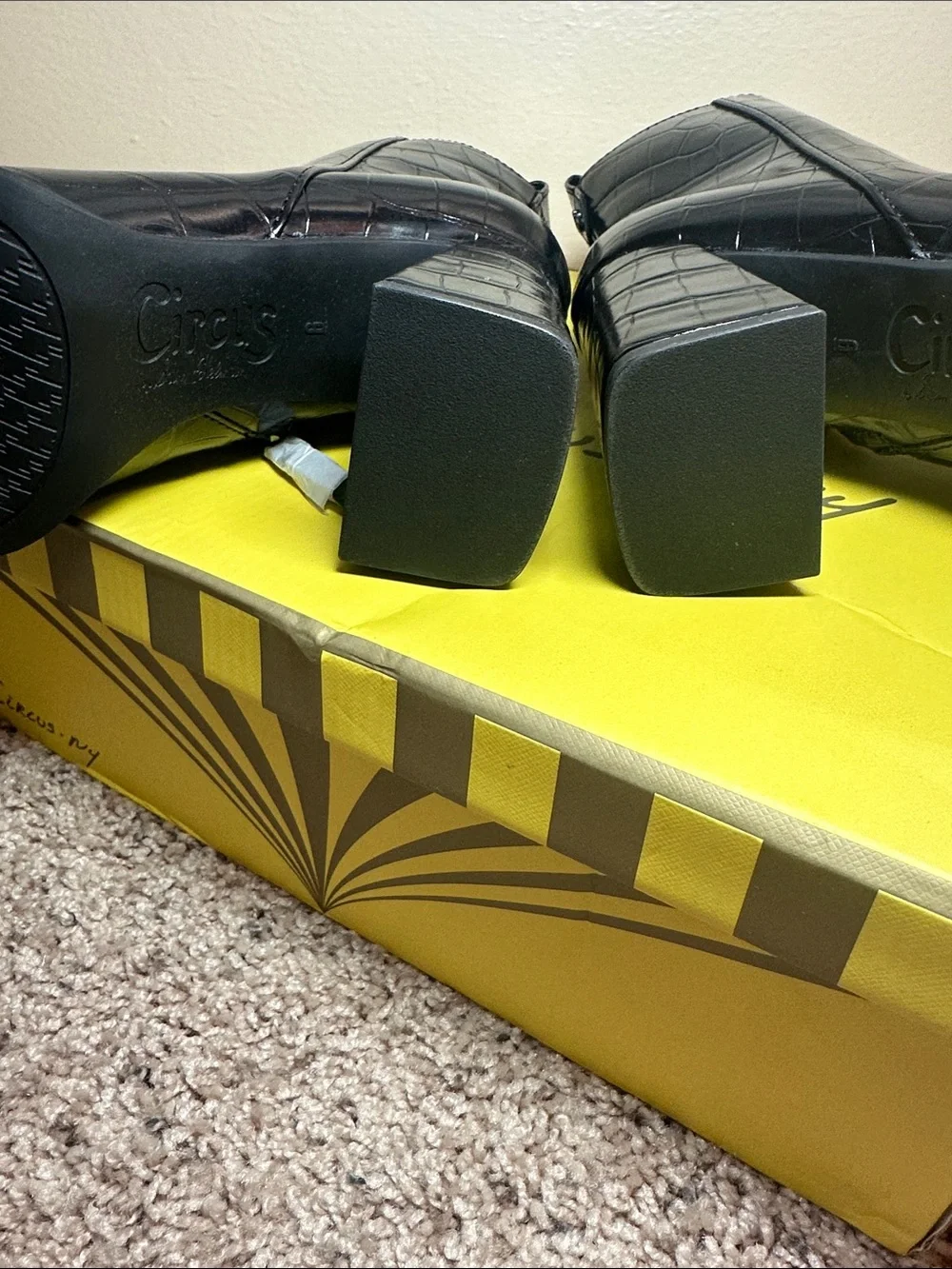 Circus by Sam Edelman brand new